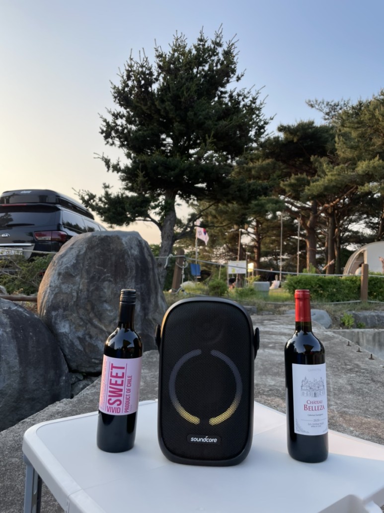 [트립] 대천오토캠핑장_캠핑 후기! #캠핑 #캠핑장 #대천캠핑 56