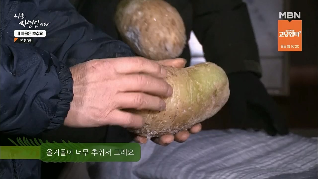 나는 자연인이다.E540.230209p.H264-F1RST.mp4_20230209_203733.091.jpg