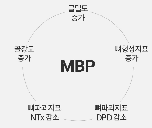 MBP 효능