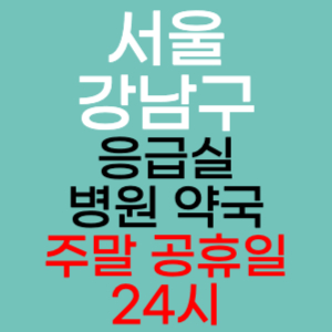 서울 강남구 주말 공휴일 약국 병원 응급실 찾기 토요일 일요일 야간진료 24시 영업시간