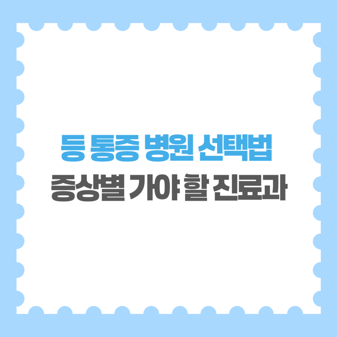 등 통증 병원 선택법 증상별 가야 할 진료과 완벽 가이드