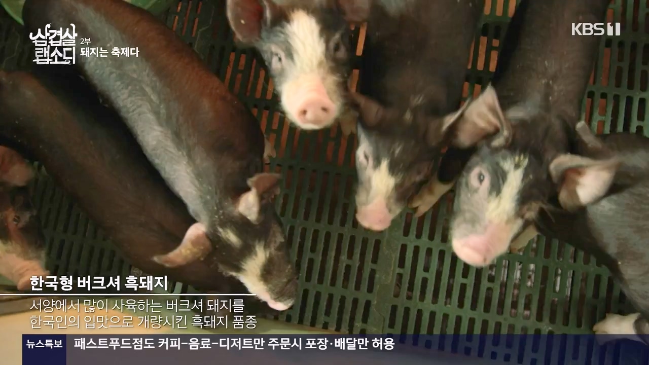 삼겹살 랩소디.E02.201228p-NEXT.mp4_20240223_202444.993.jpg