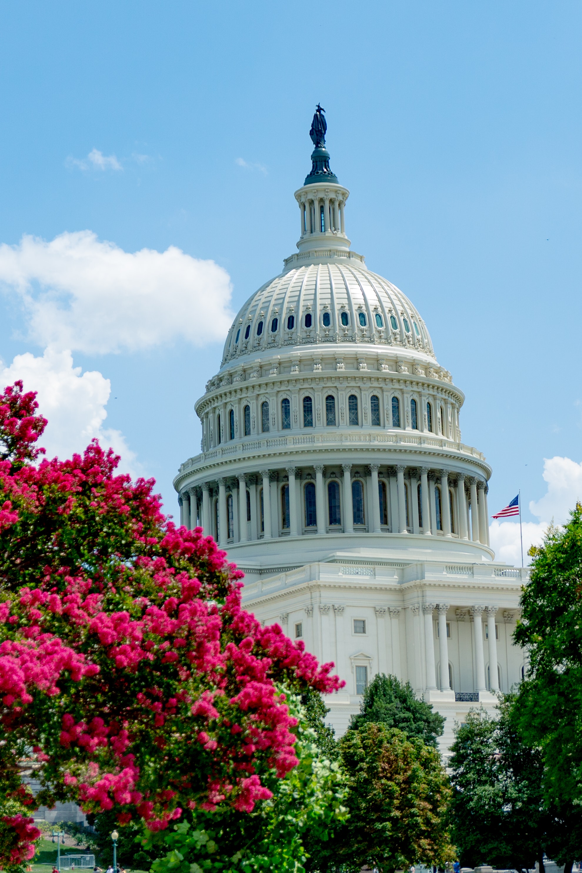  A Springtime Getaway in Washington D.C.: Exploring America's Capital