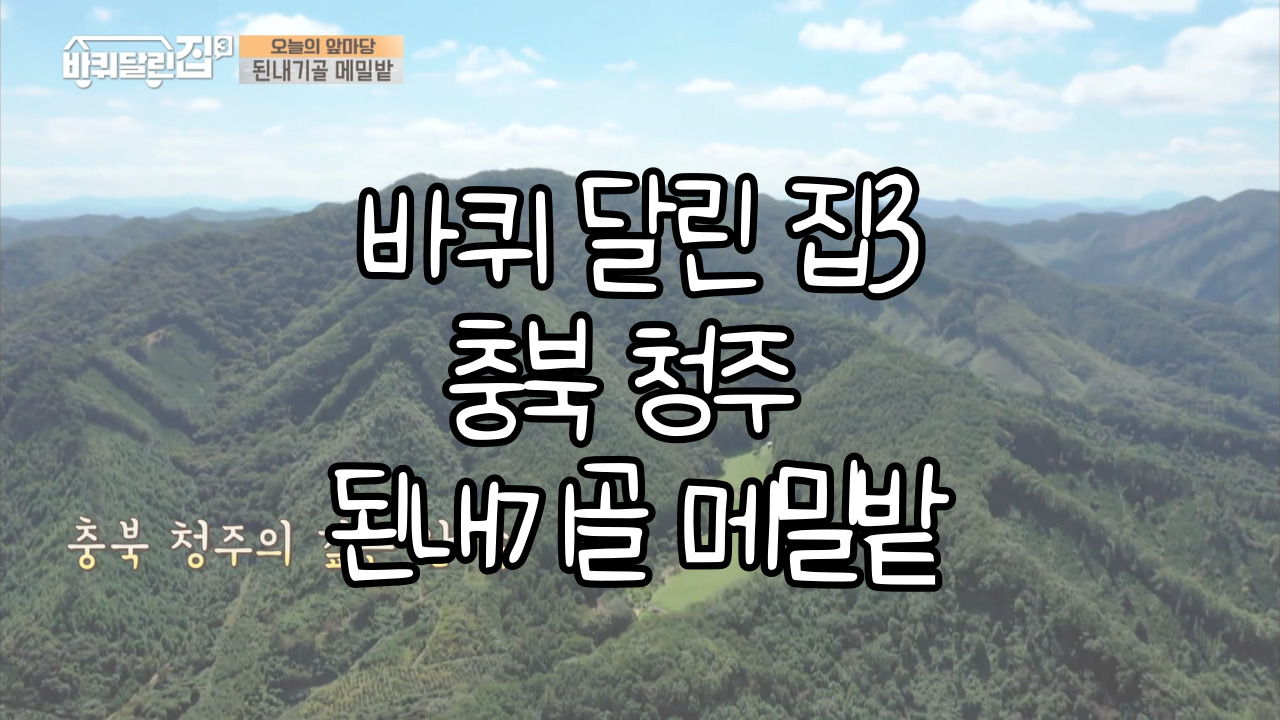  tvN <바퀴 달린 집3> 세 번째 앞마당 여행 촬영지 충북 청주 된내기골 메밀밭, 미원면 자전거 도로, 원더풀 꽈배기 소개 및 위치