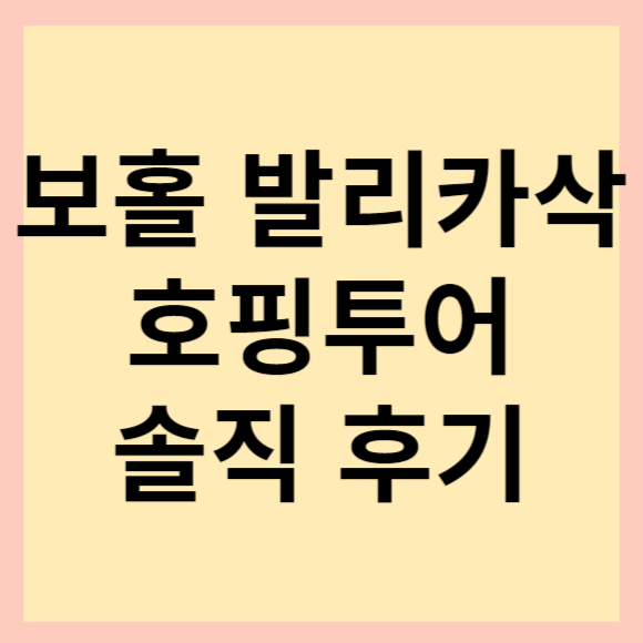  보홀 발리카삭 호핑투어 가격 및 후기.(바다거북이와 함께 수영)