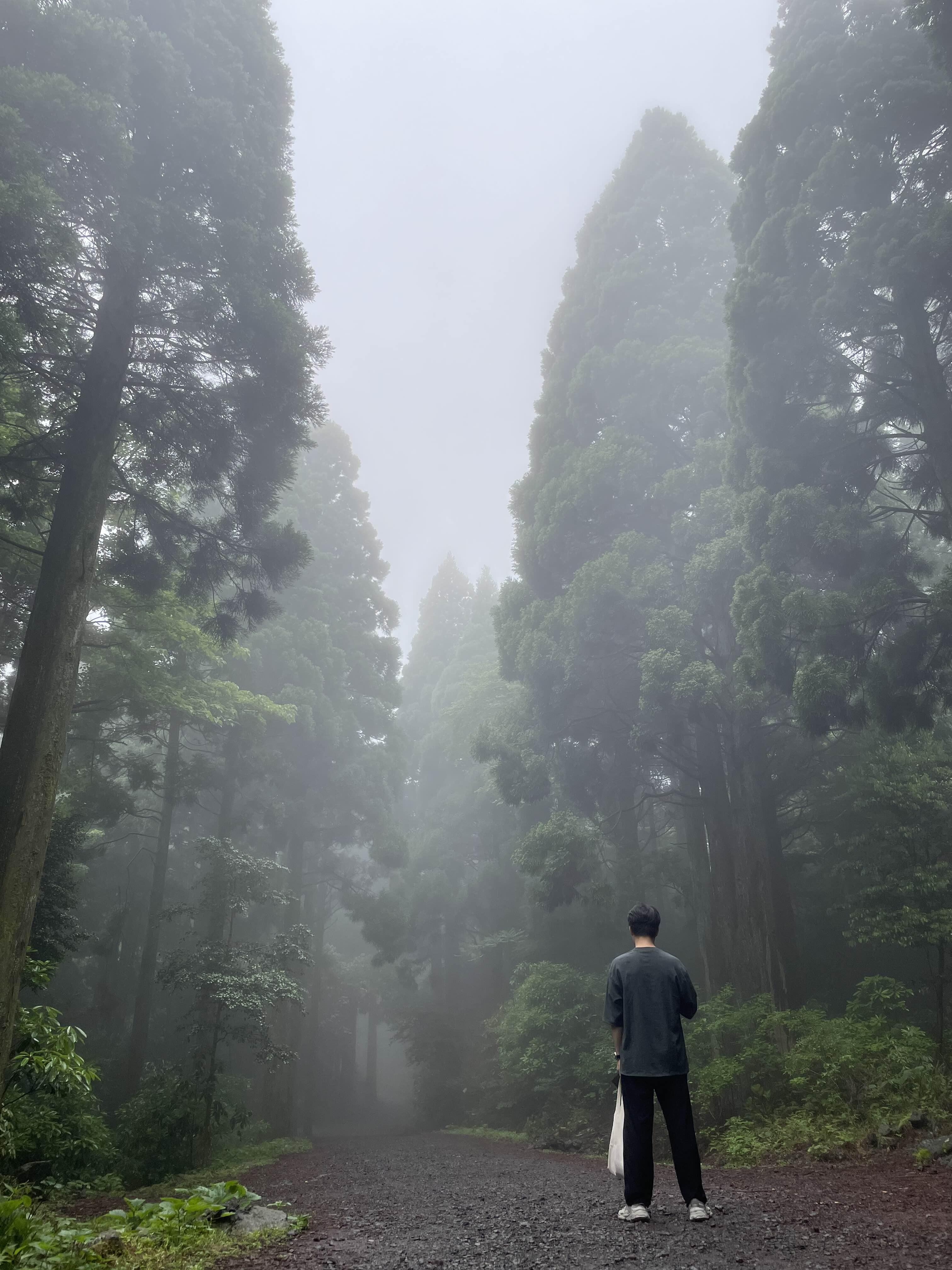 산도록숲