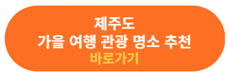 제주도 가을 여행지 확인