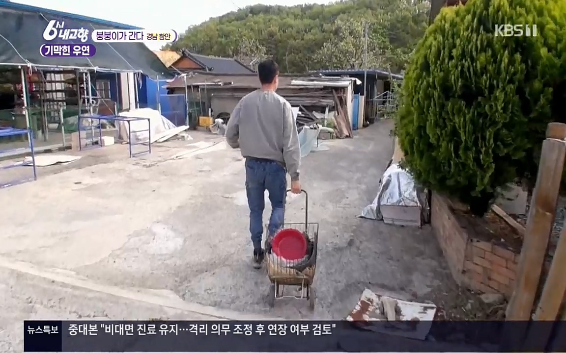 6시 내고향.E7518.220426p.H264-F1RST.mp4_20220504_191756.206.jpg