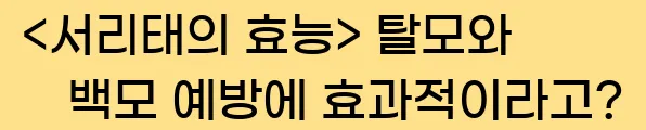  <서리태의 효능> 탈모와 백모 예방에 효과적이라고?