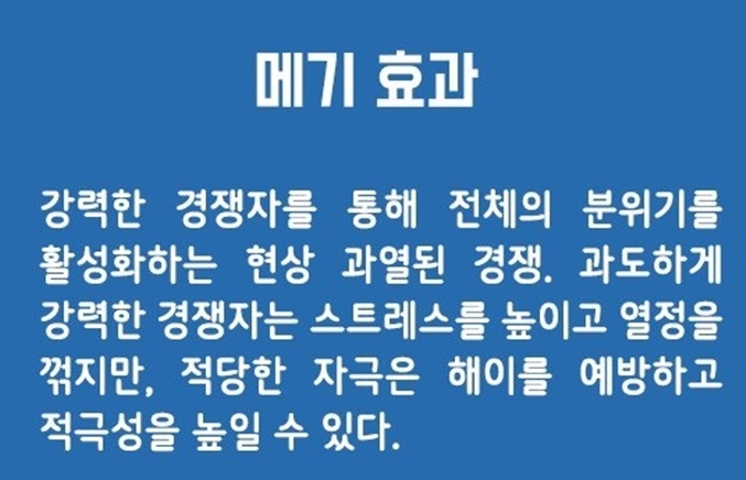 그리고 유래를 알아봅니다. 메기 효과의 의미와 의미 6