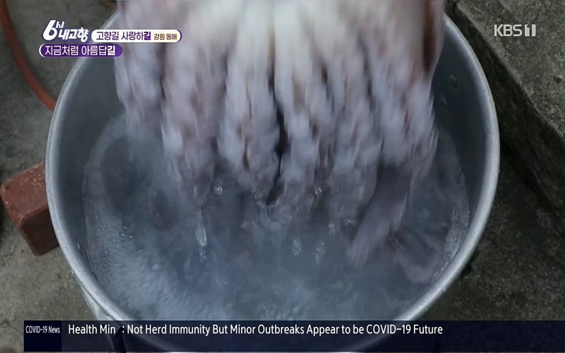 6시 내고향.E7512.220416p.H264-F1RST.mp4_20220502_194146.168.jpg