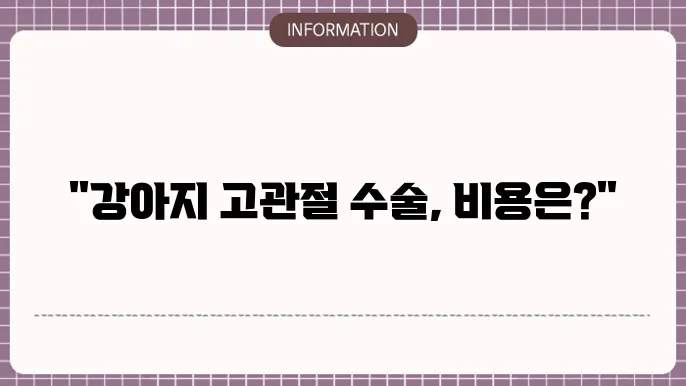 강아지 고관절 수술비용 - 비용 및 주의사항