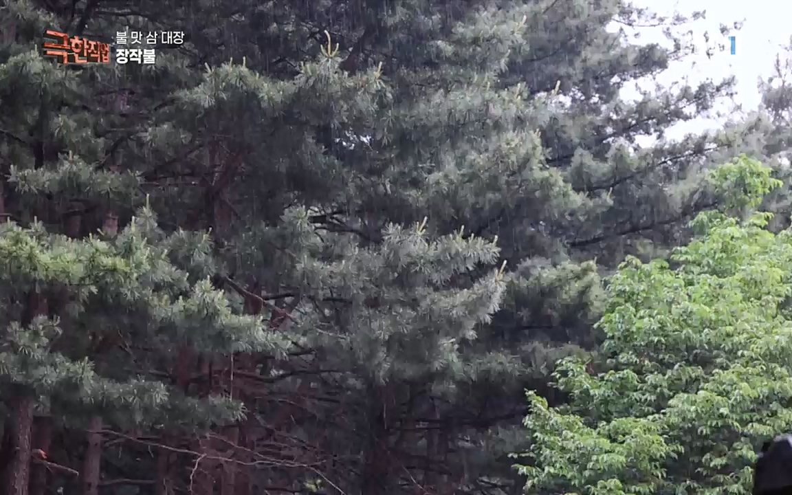 TV - 교육의 중심 EBS불 맛 삼 대장!.mp4_20220922_205220.712.jpg