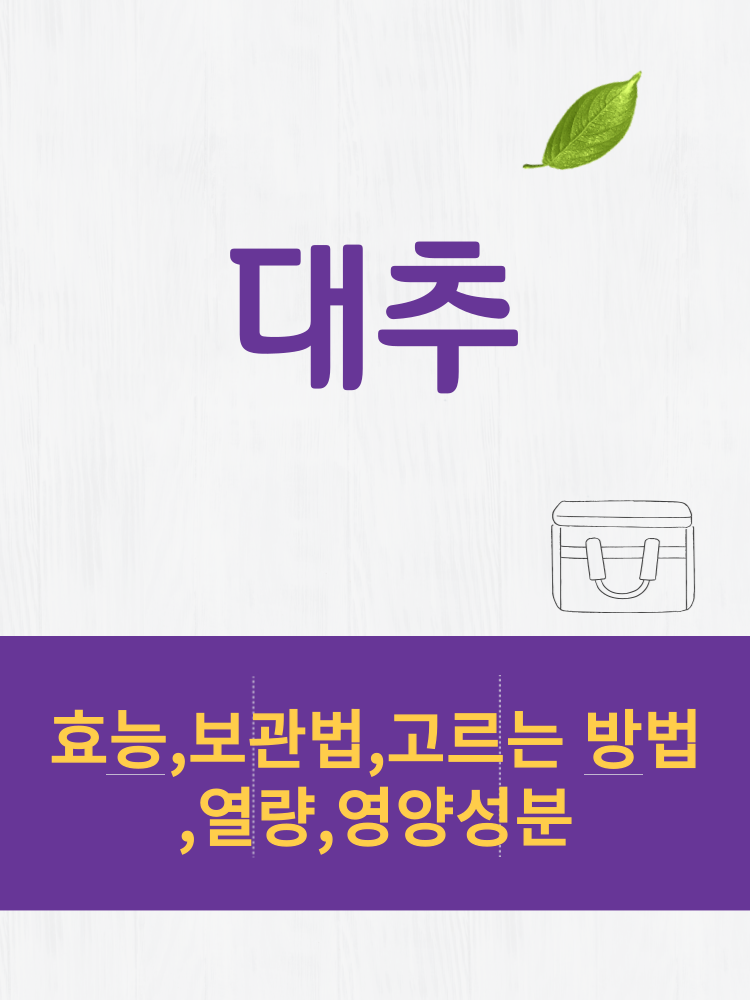  대추 효능 및 열량과 보관법 칼로리 총정리 
