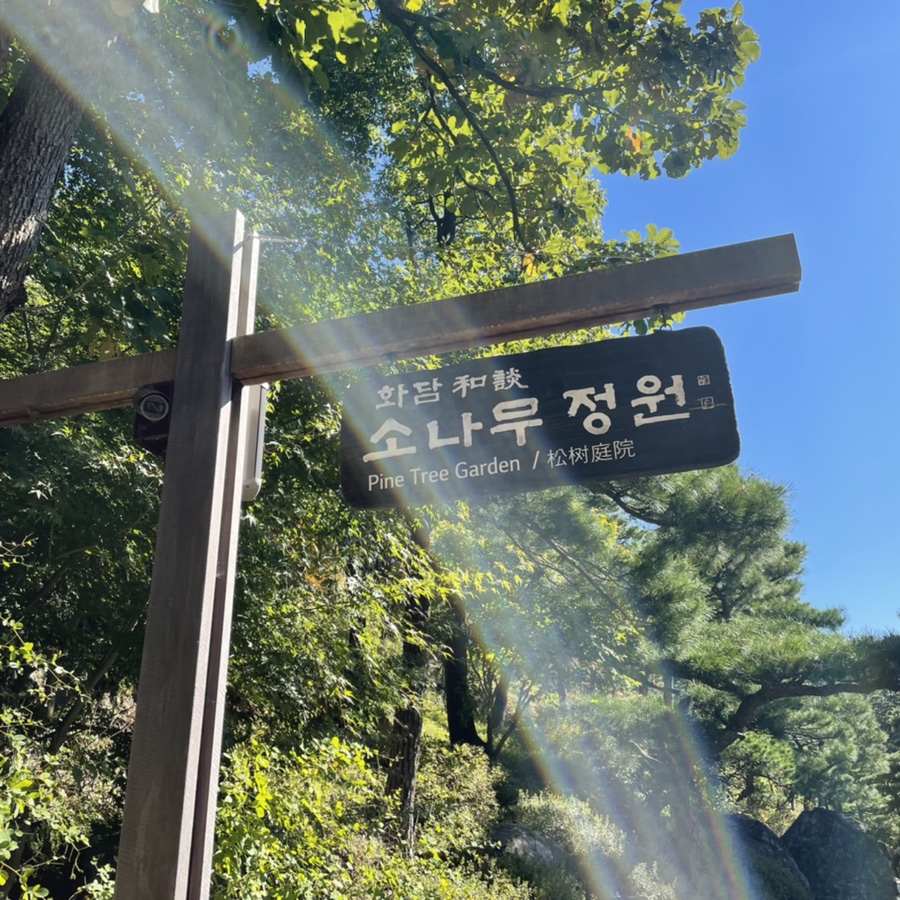 숲나들이 가을나들이 : 화담숲에서 12