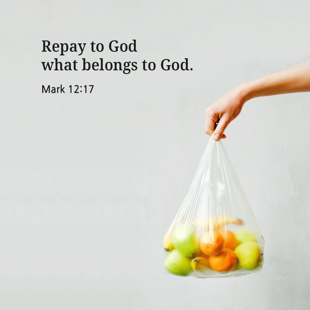 Repay to Caesar what belongs to Caesar and to God what belongs to God. (Mark 12:17)