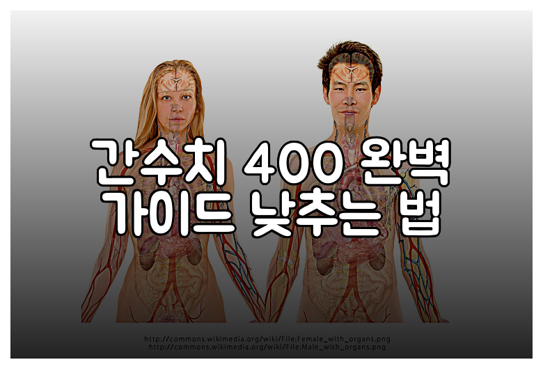 간수치 400 완벽 가이드 낮추는 법