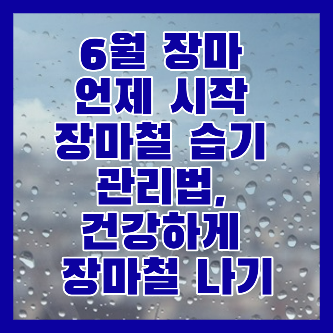  6월 장마 언제 시작 장마철 습기 관리법, 건강하게 장마철 나기