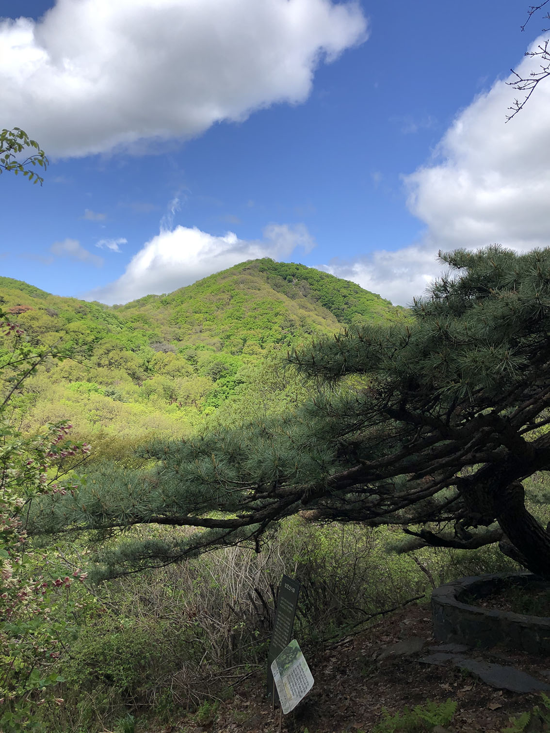 예봉산등산코스