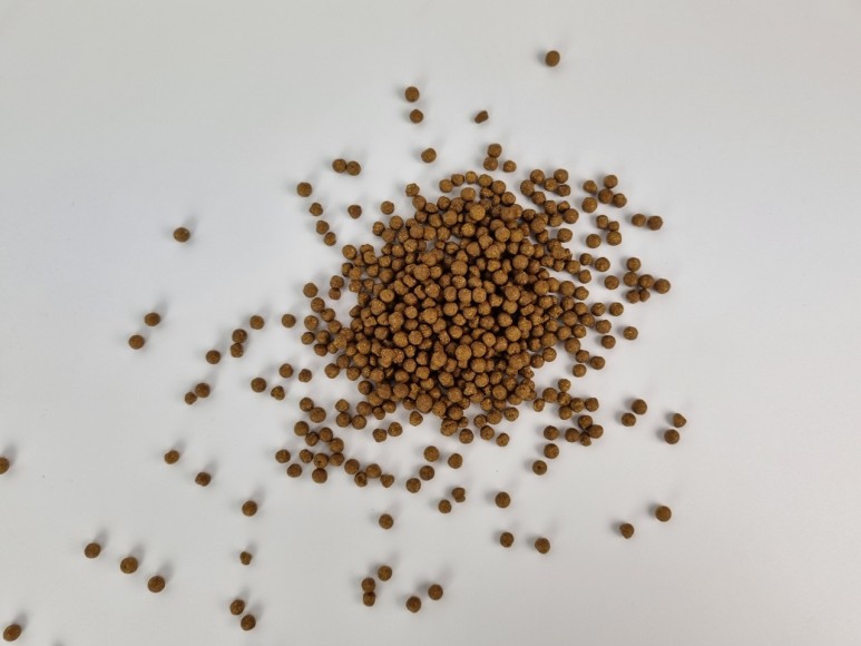 핑거루트 효능 판두라틴 건재 14