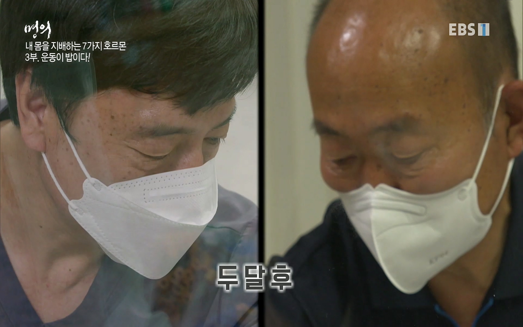 EBS 명의 헬스케어 - TV - 교육의 중심 EBS내 몸을 지배하는 7가지 호르몬 3부, 운동이 밥이다! .mp4_20220711_202519.133.jpg