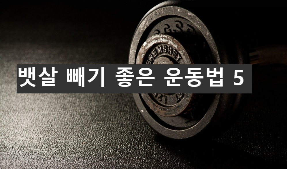 뱃살 빼기 좋은 운동법 5 늘어난 뱃살을 줄이자