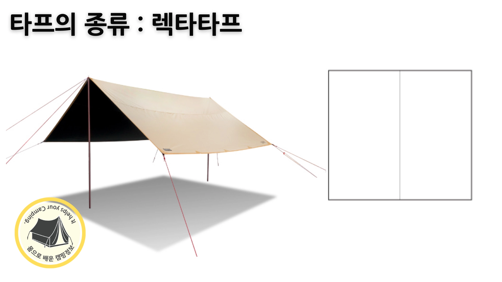 렉타타프 이미지