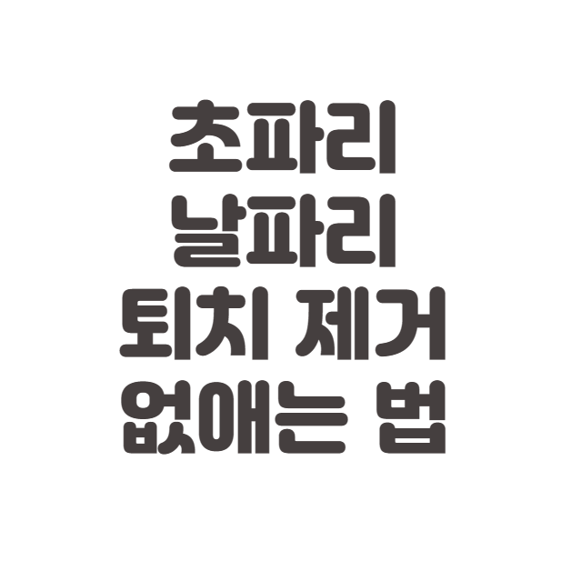 초파리-날파리-제거-없애는법