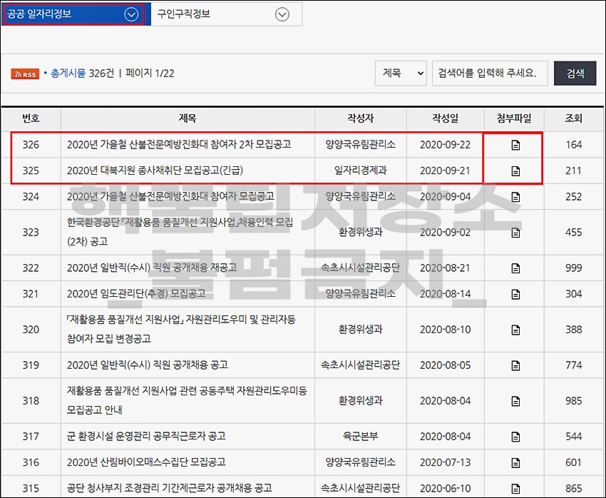 속초시청 구인구직 일자리 정보