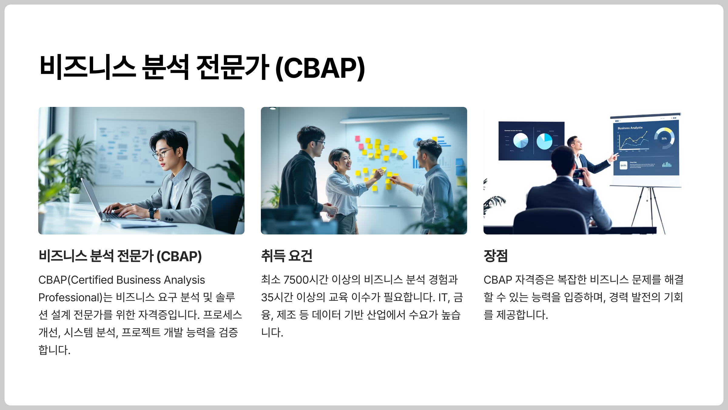 비즈니스 분석 전문가 (CBAP)