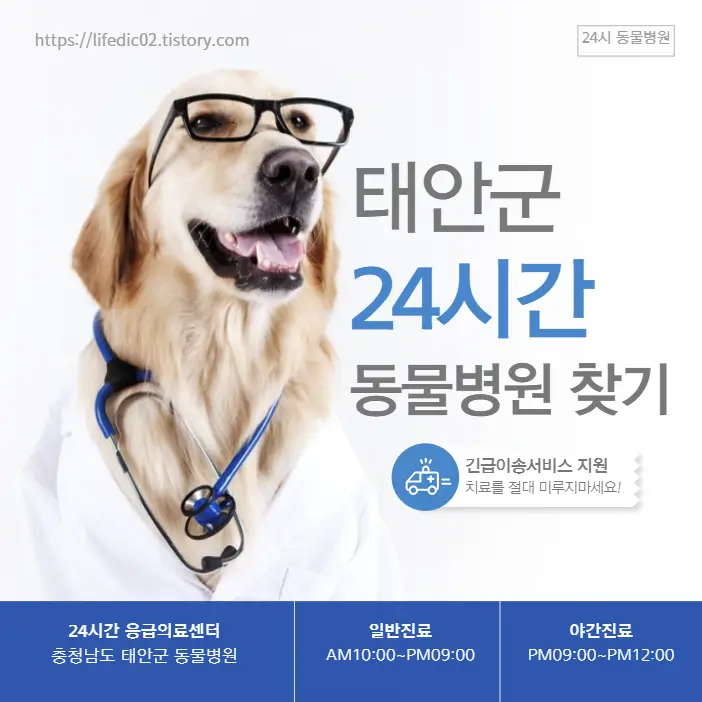  태안군 24시간 동물병원 찾기 근처 야간 일요일 강아지 병원 7곳