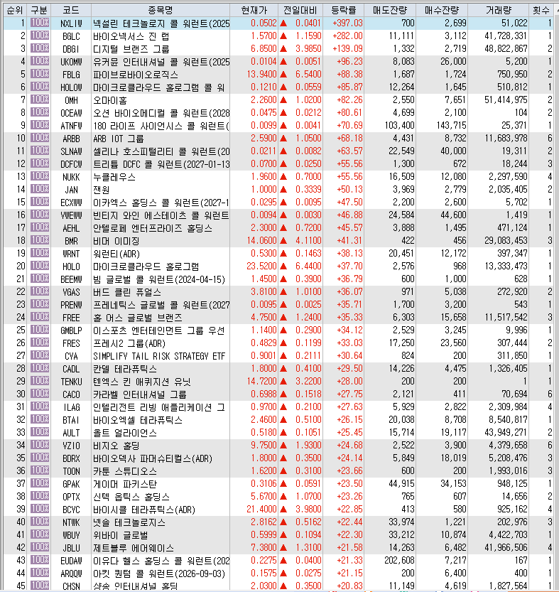 2월 13일 미국 주식 상승률 상위 종목 TOP 300