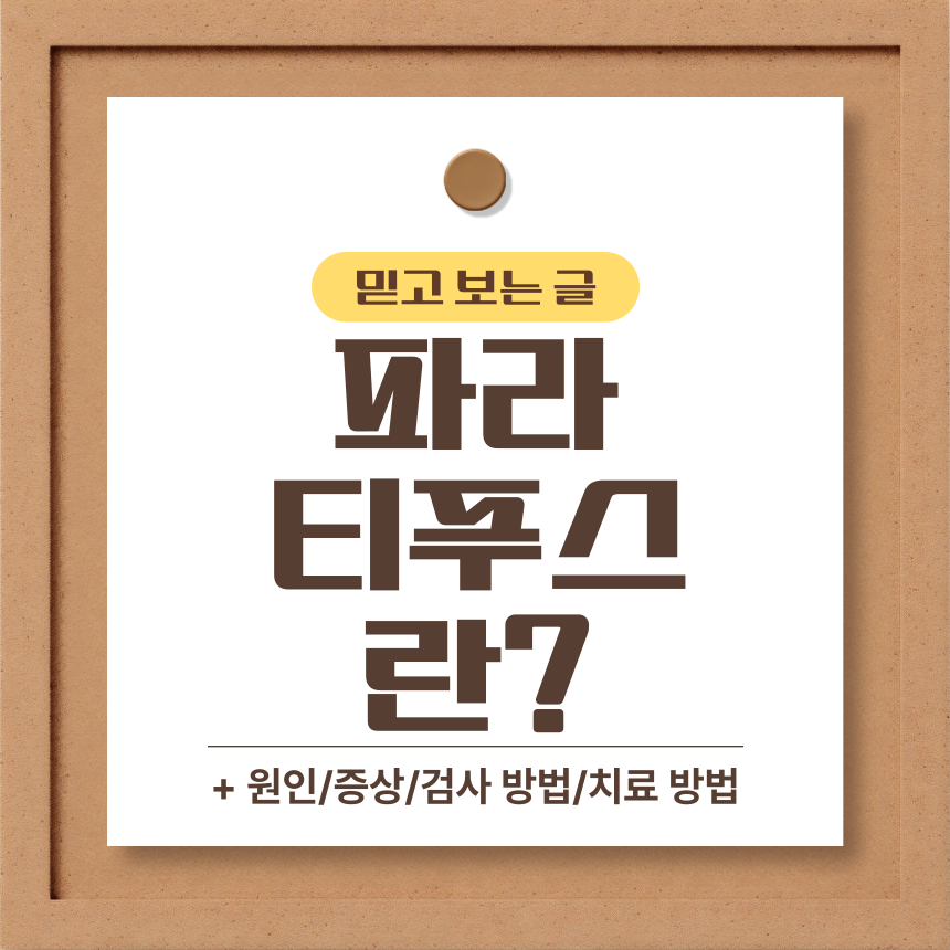  파라티푸스 란?