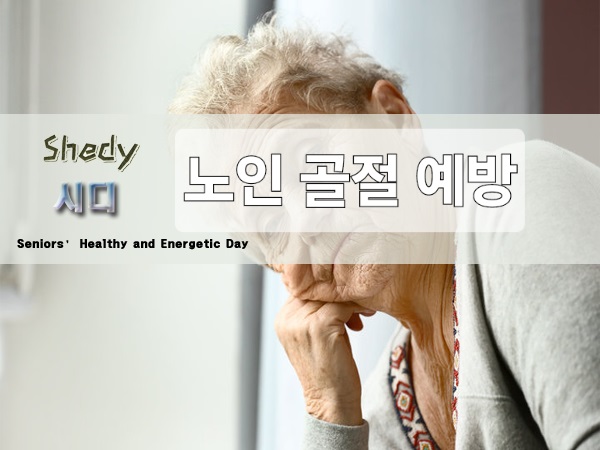  노인 골절 예방
