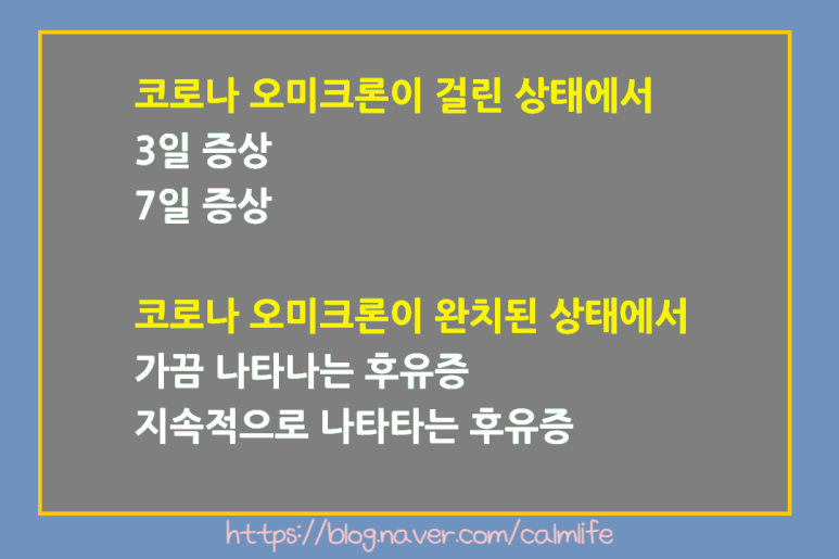  코로나 오미크론 증상 순서 및 후유증 ( 필자 경험담 )