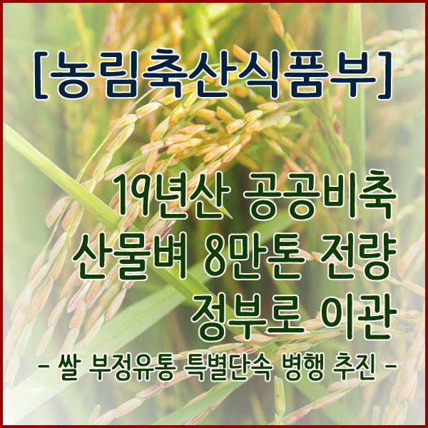  ‘19년산 공공비축 산물벼 8만톤 전량 정부로 이관- 쌀 부정유통 특별단속 병행 추진 -