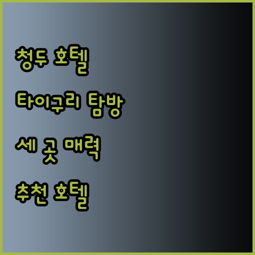 청두 타이구리 인근 호텔 탐방기 세 
