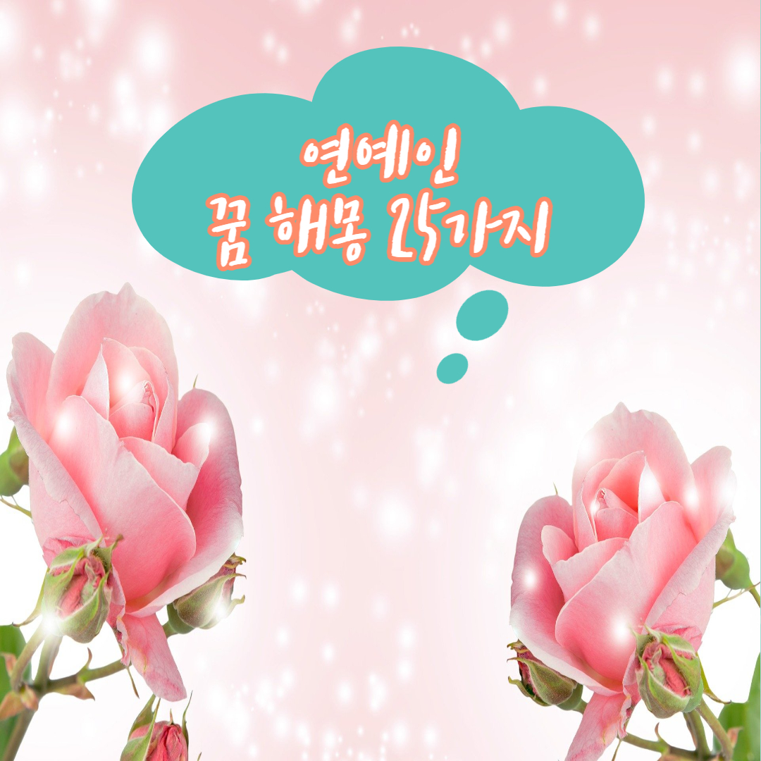  연예인이 나오는 꿈 해몽 25가지 정리