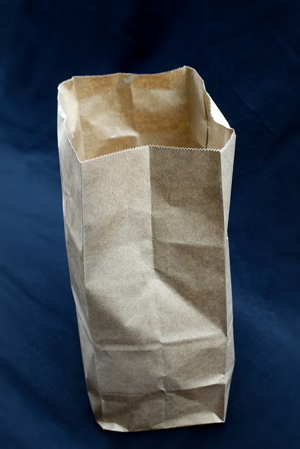 one paper bag