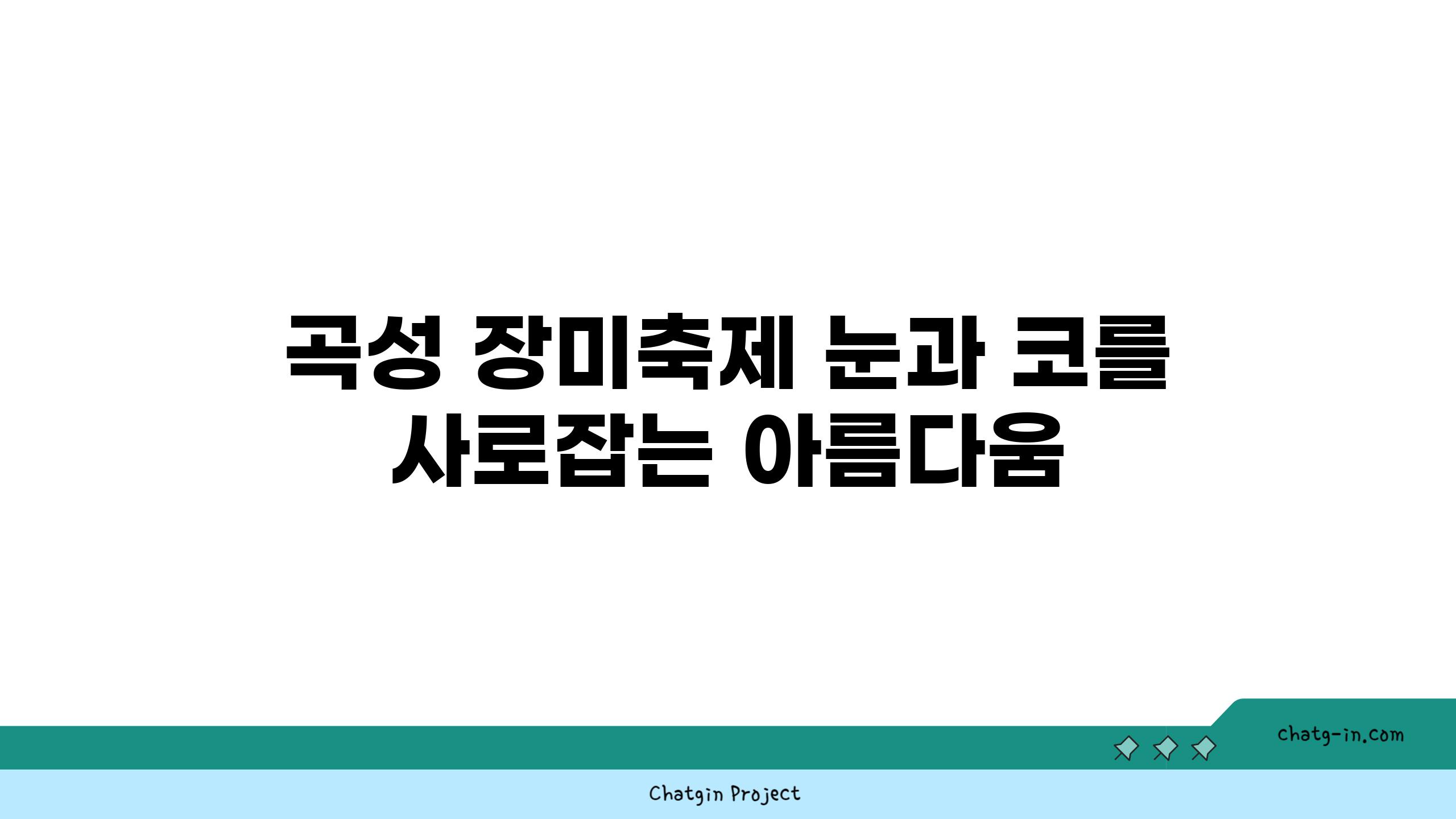 곡성 장미축제 눈과 코를 사로잡는 아름다움