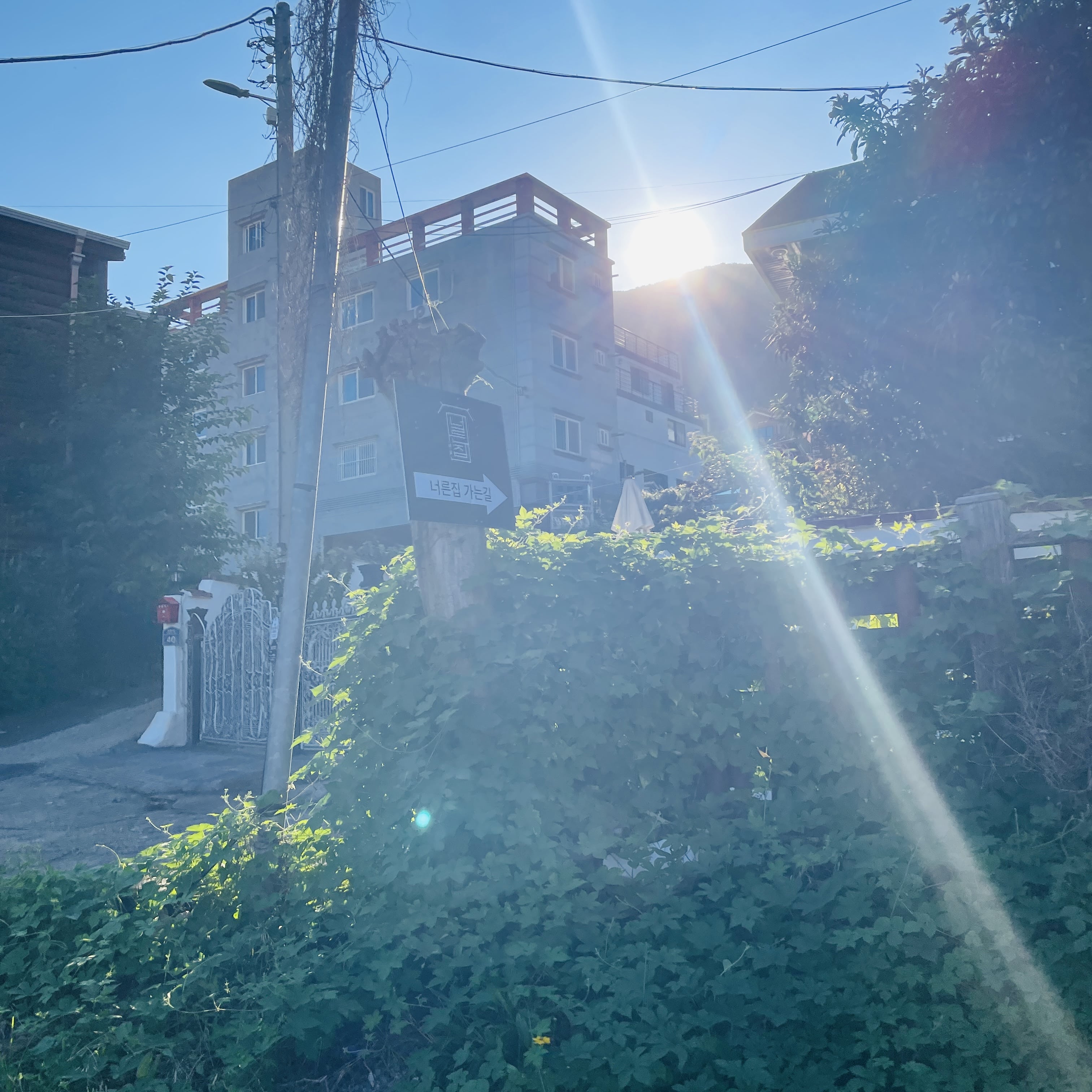 양산 닭볶음탕 맛집 너른집