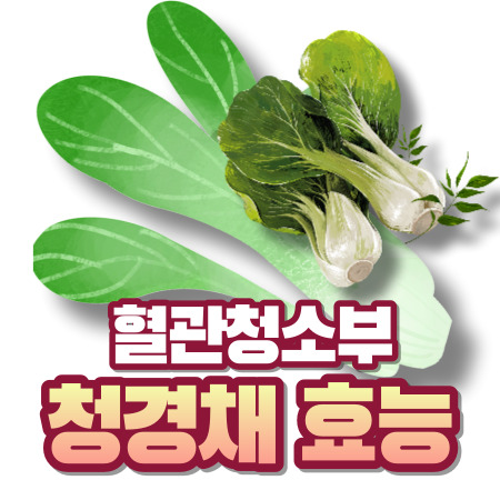 청경채 효능