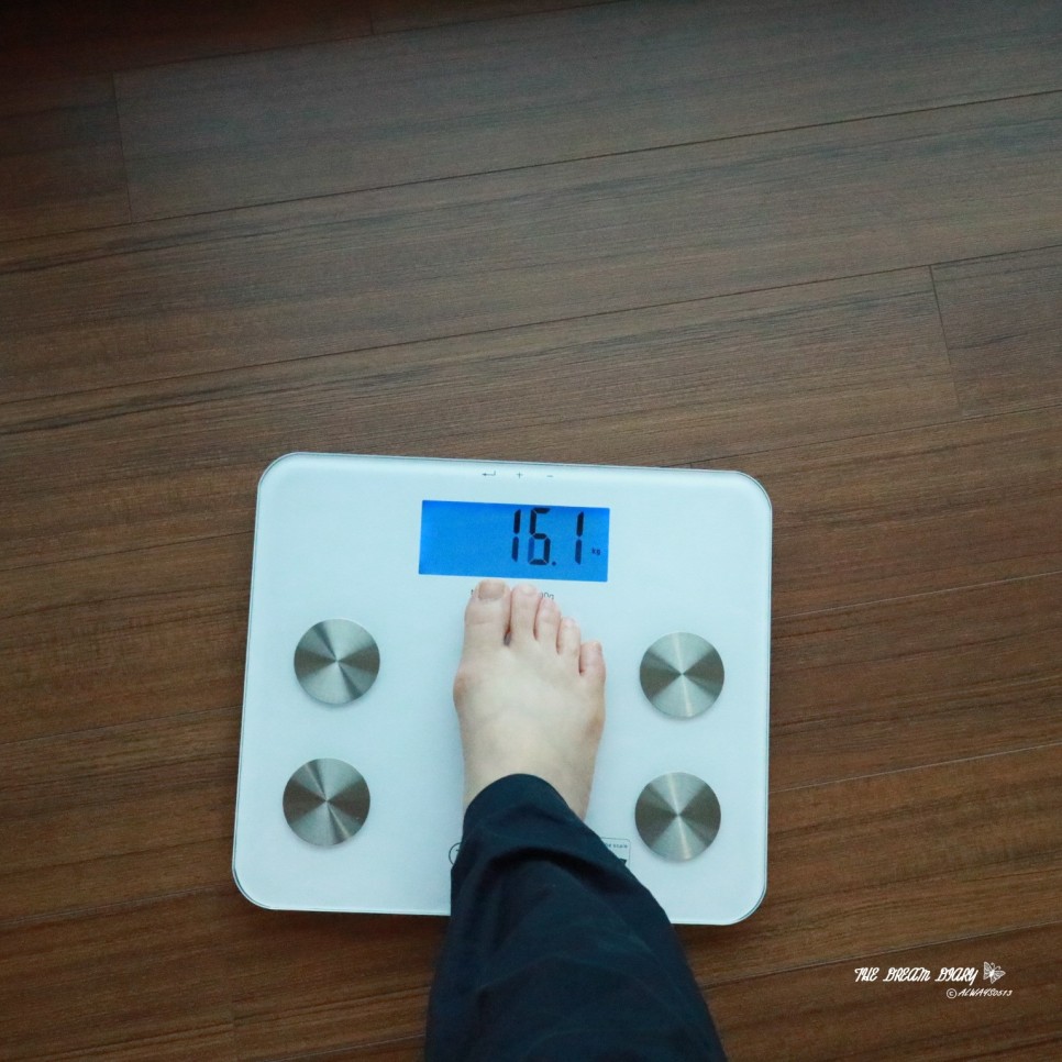 정확한 체중계 추천디지털 체중계 인바디 9