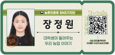 채소 사진 으슬으슬한 환절기, 뿌리채소로 14