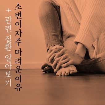  소변이 자주 마려운 이유? 방광염, 요실금, 임신 등 원인 알기