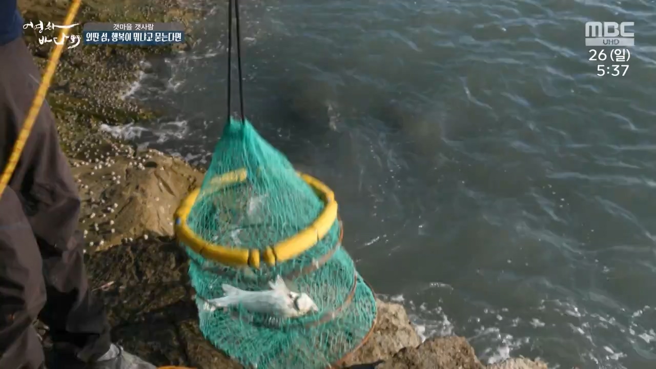 MBC 네트워크 특선 푸른백세 어영차 바다야.E1650.231127p-NEXT.mp4_20231202_171537.370.jpg