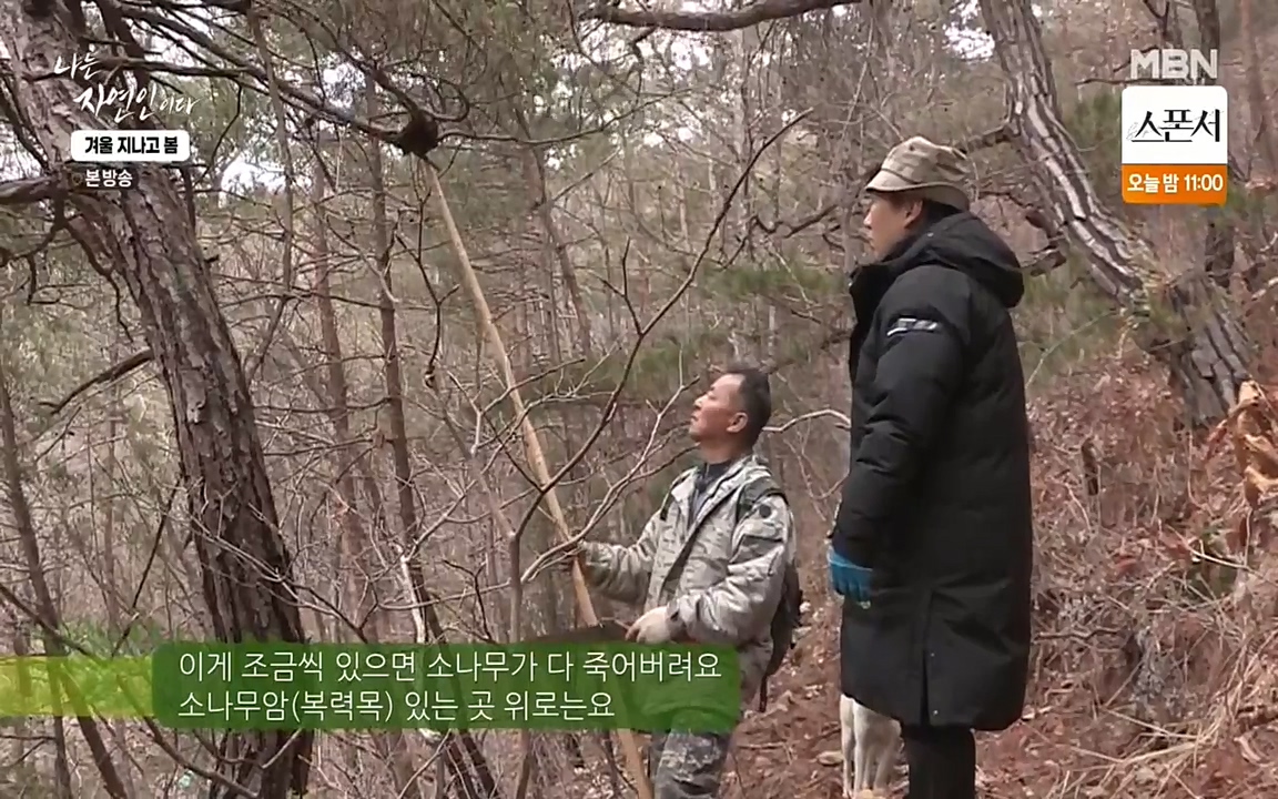 나는 자연인이다.E496.220407p-NEXT.mp4_20220407_175440.426.jpg