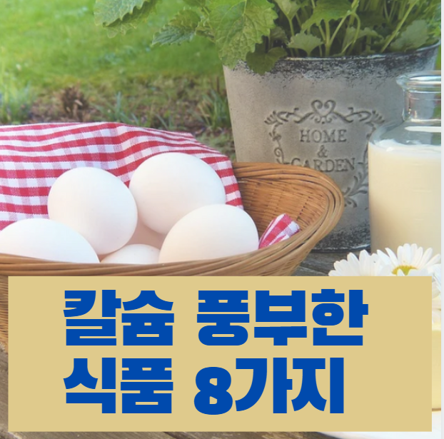  칼슘 풍부한 식품 8가지