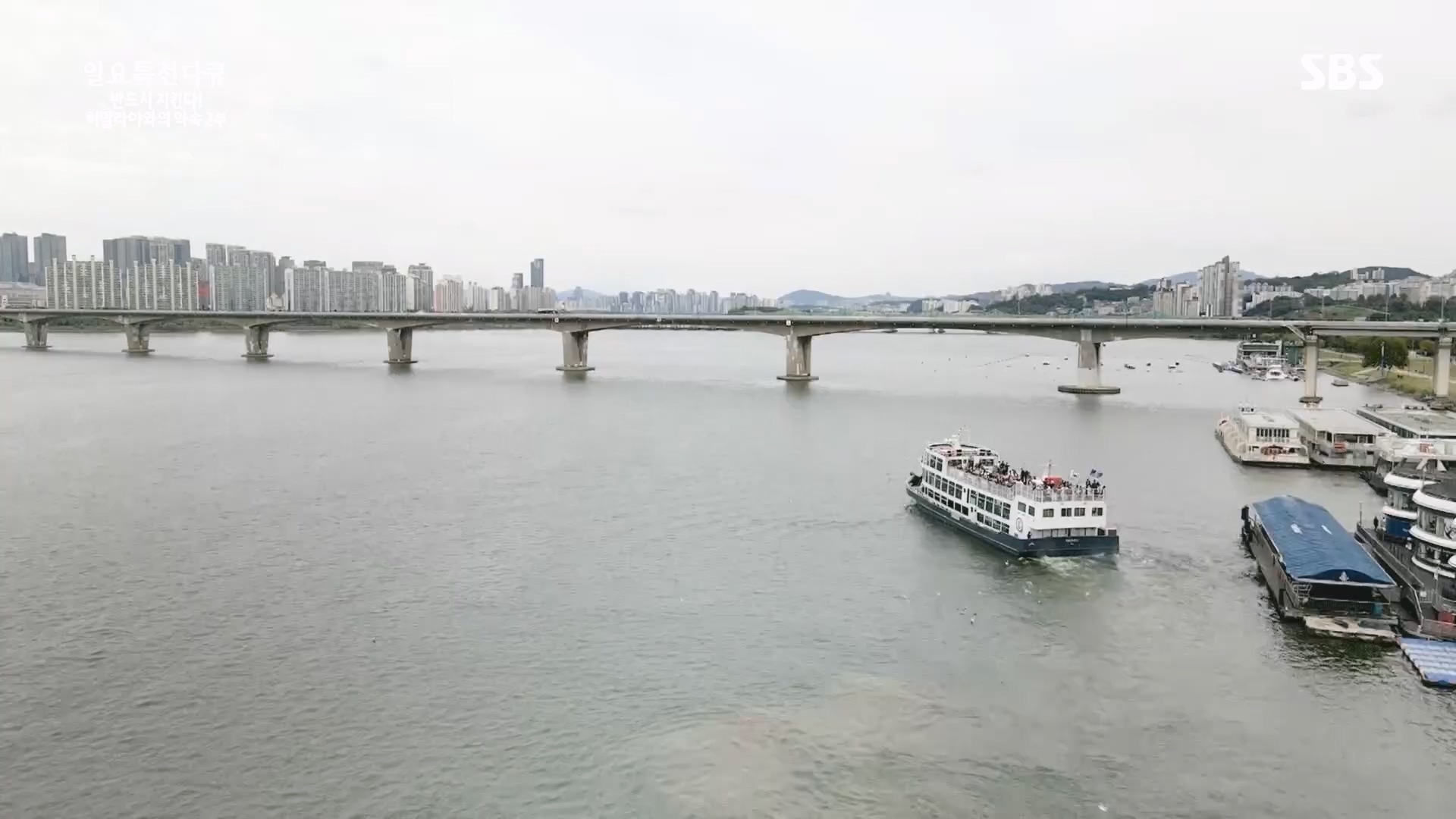 일요 특선 다큐멘터리.E334.231231p.H264-F1RST.mp4_20231231_152000.001.jpg