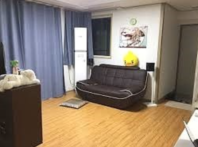  편백나무방향제 다 똑같은게 아니더라구요;
